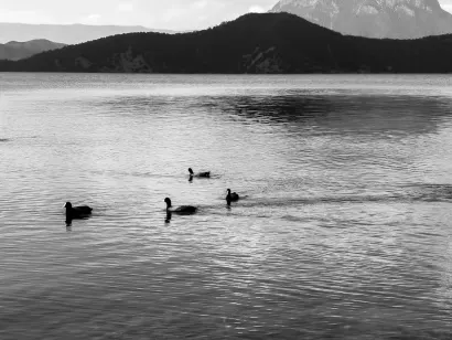 SlotoCash Casino App Mobile